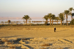 KONICA MINOLTA DIGITAL CAMERA