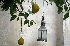 Lampe-und-Zitronen-©-Larissa-Bender