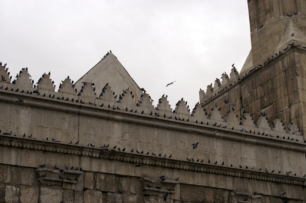 Ummayaden-Moschee Damaskus © Larissa Bender